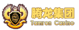 腾龙麦芒公司